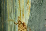 Free-Standing, Gary Green Jasper (Larsonite) Bog Wood - Oregon #334849-2